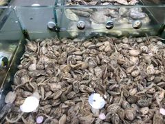 -旺顺阁海鲜广场(亚运村店)