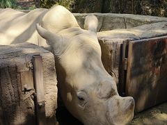 -杭州野生动物世界