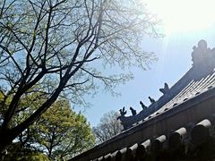 -崂山仰口游览区