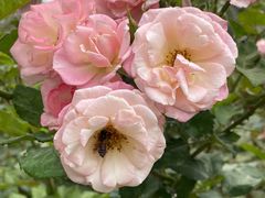 -人民公园(罗湖区)