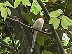 -苏州河梦清园环保主题公园