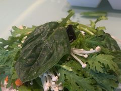 -南门四季铜锅涮肉(大屯·北苑店)