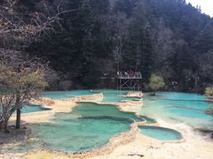 -黄龙山原始森林景区