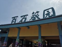 -百万葵园