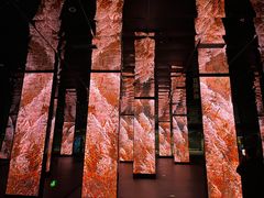 -中国湿地博物馆