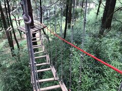 -梦幻奥陶纪景区