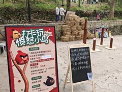 -东明山森林公园