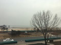 -猫的天空之城概念书店(北戴河蔚蓝海岸店)
