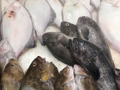 -日丰园海肠水饺·老字号大连海鲜(和平广场店)
