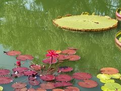 -国家植物园南园