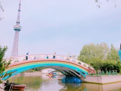 -诸城市恐龙博物馆