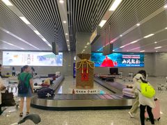 -张家界荷花国际机场航站楼-国内出发