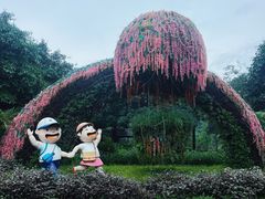 -王借岗森林公园