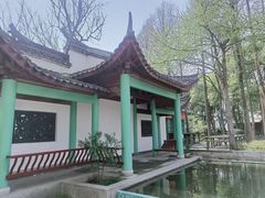 -长兴太湖图影湿地文化园