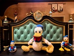 -IL paperino帕帕里诺冰激凌