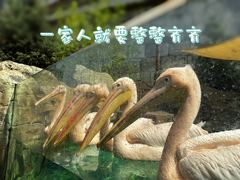 -波塞冬海底世界