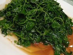 -嘉逸传菜(洛川东路店)