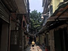 -竹园竹升面(西关总店)