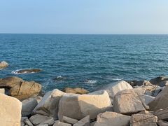 -广东惠东海龟国家级自然保护区