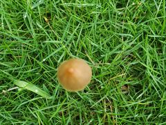 -陶祖圣境风景区