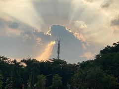 -南国桃园旅游度假区