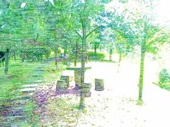-四川大学(望江校区)