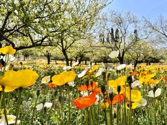 -名花谷生态庄园