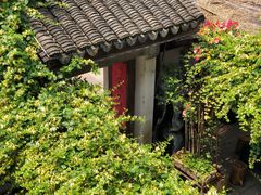 -普洱茶府(博乐广场店)