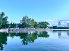 -莲花池公园