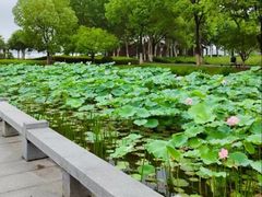 -金银湖国家城市湿地公园