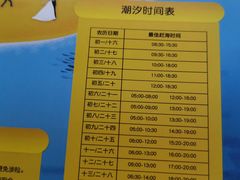 -刘家湾赶海园