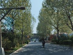 -南宫五洲植物乐园