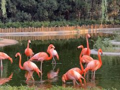 -石家庄市动物园