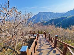 -大岭沟猕猴桃谷风景区