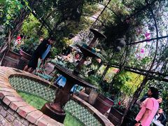 -The Grounds of Alexandria