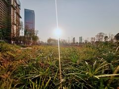 -马栏山视频文创产业园