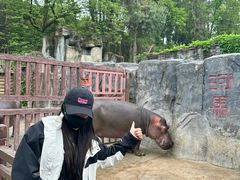 -贵州森林野生动物园