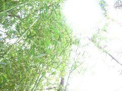 -紫竹院公园冰场