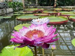 -国家植物园南园