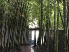 -穹六人间 people 6(岳阳路店)