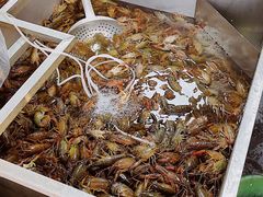 -拙味兄弟龙虾·江湖菜(和畅堂店)