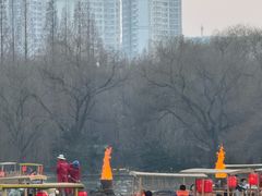 -洛阳市隋唐城遗址植物园