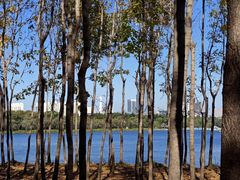 -长春市南湖公园