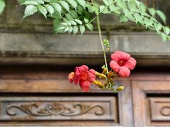 -老门东历史文化街区