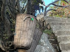 -秦岭终南山世界地质公园翠华山景区