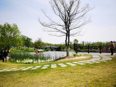 -上海长兴岛郊野公园