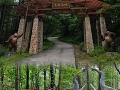 -龙峪湾国家森林公园