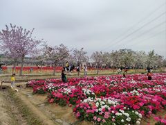 -盈香心动乐园