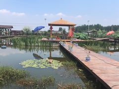 -同銮特种养殖场·龙虾垂钓