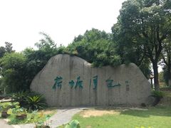 -荷塘月色湿地公园·向阳花洲